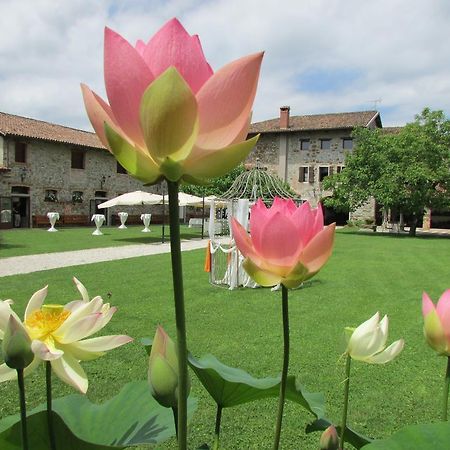 Agriturismo Il Vagabondo Buttrio Exterior photo